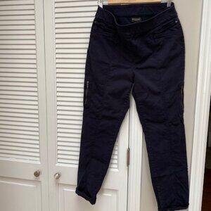 Chicos So Slimming Ankle Pants INK 1.5
